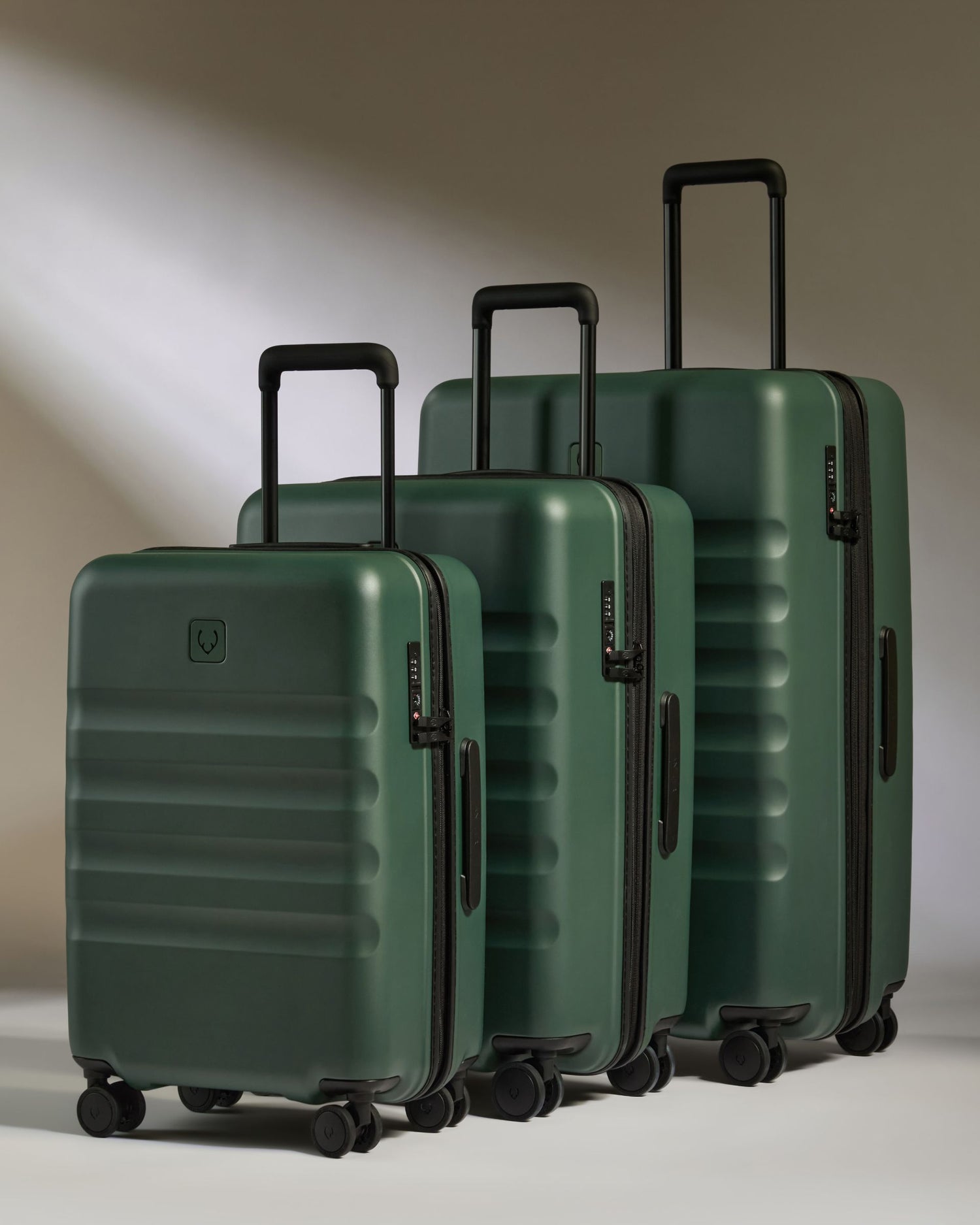 Large Carry-on Luggage Set in Antler Green - Icon Stripe