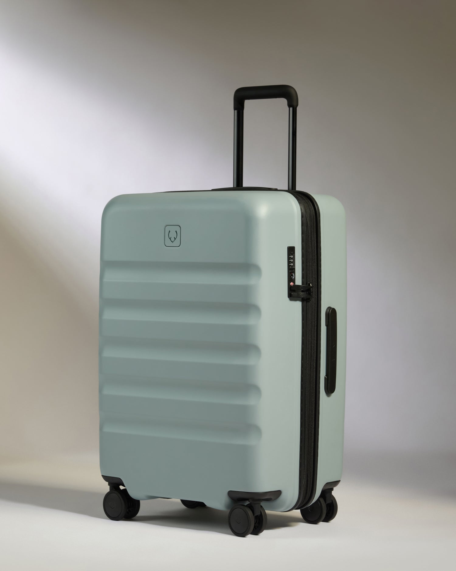 Medium Luggage in Mist Blue - Icon Stripe