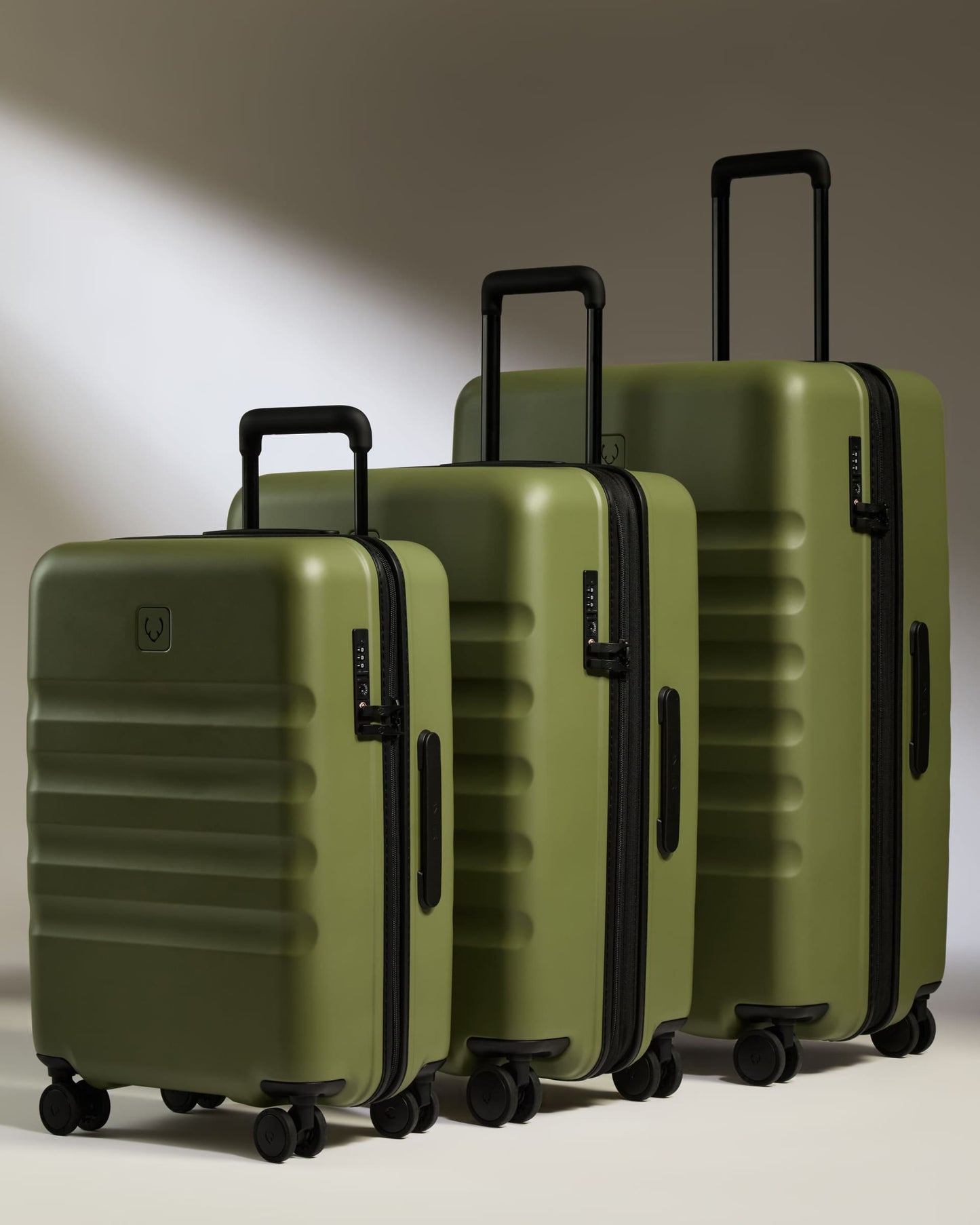 Large Carry-on Luggage Set in Fern Green - Icon Stripe