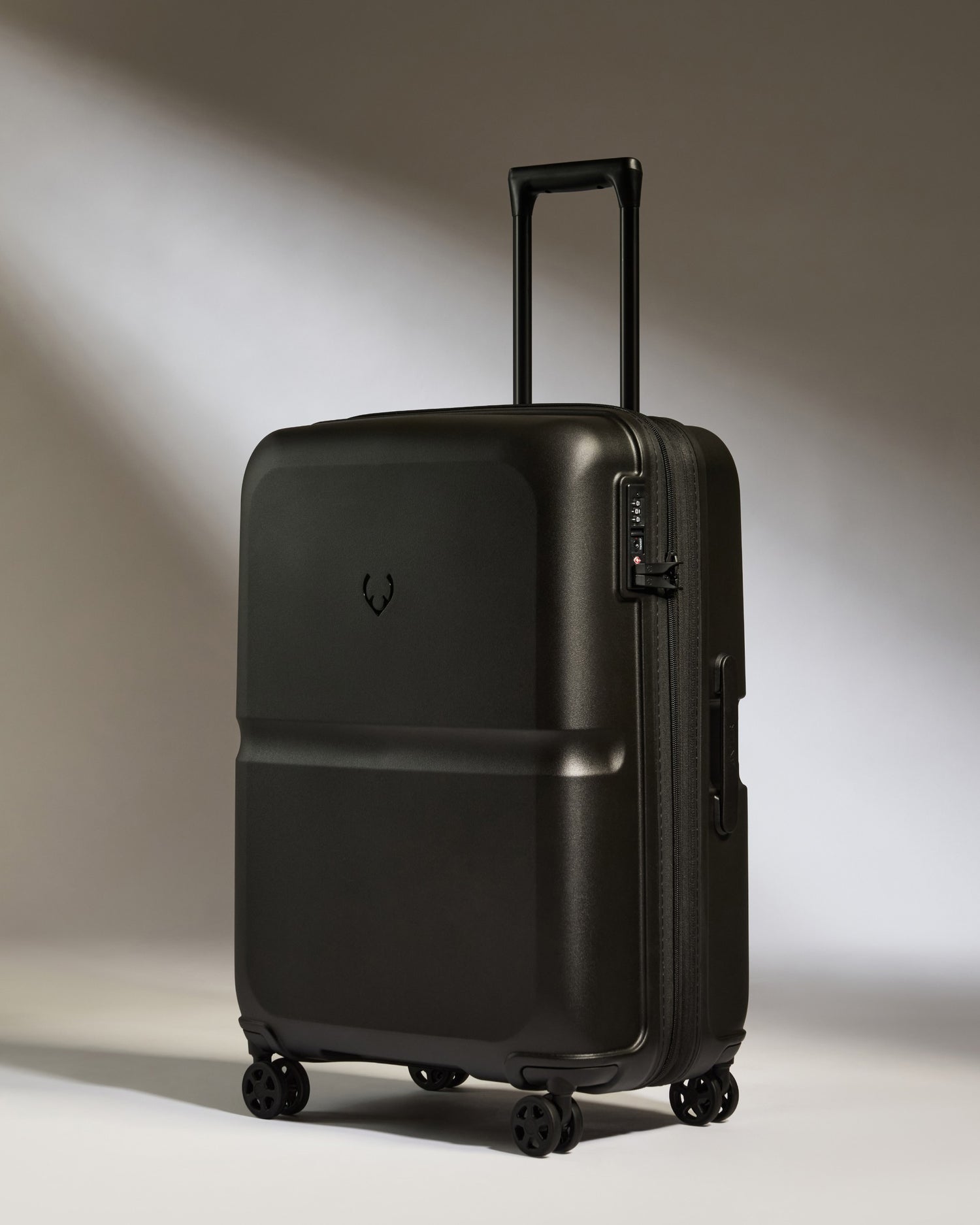 Medium Luggage in Black - Single Stripe