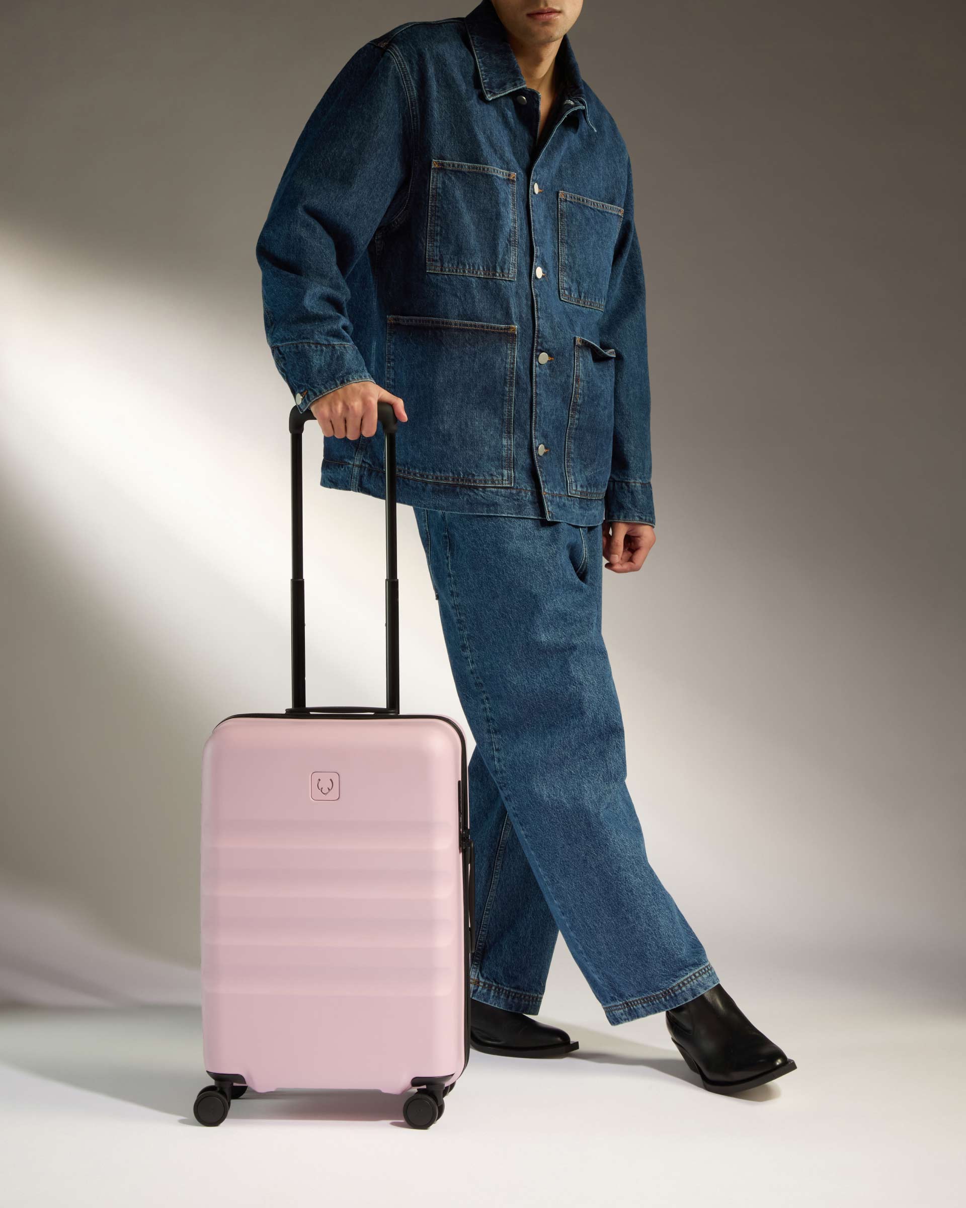 Large Carry on Luggage in Moorland Pink Icon Stripe