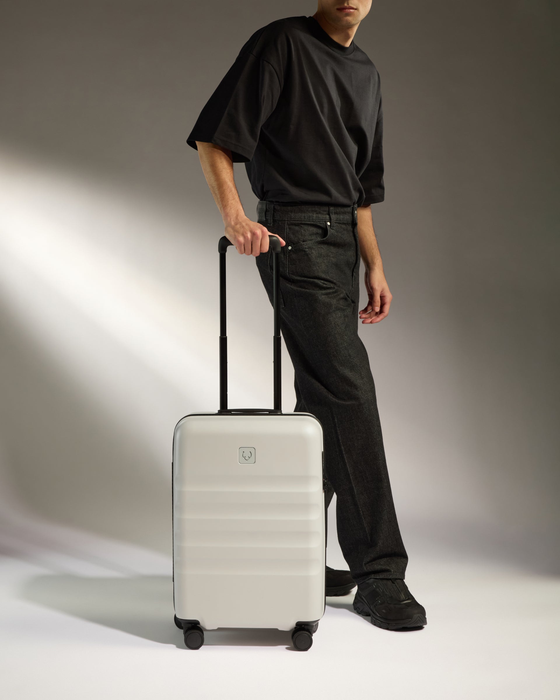 Large Carry on Luggage in Taupe Icon Stripe