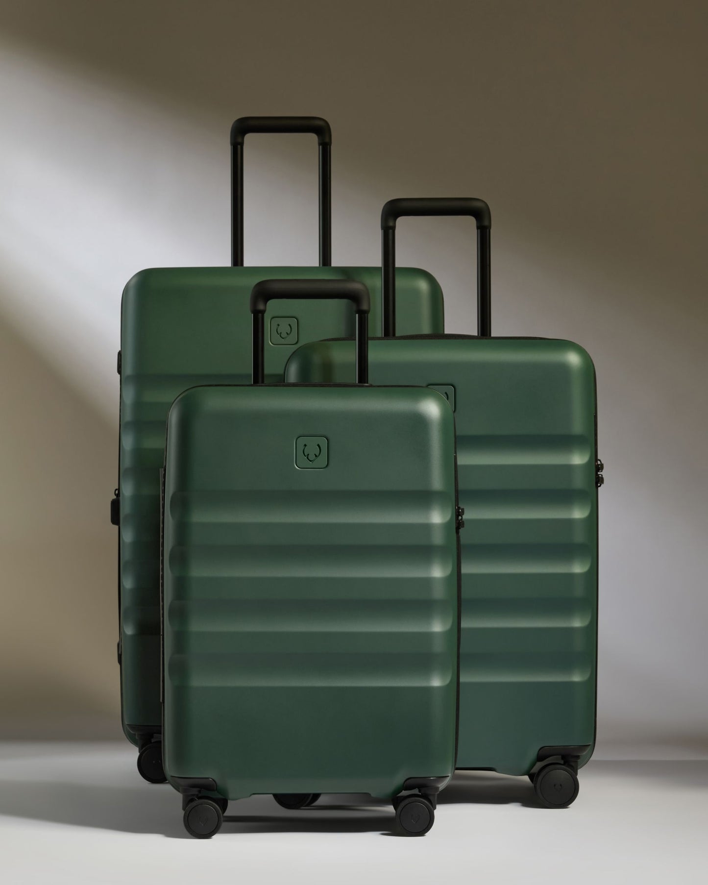 Large Carry-on Luggage Set in Antler Green - Icon Stripe