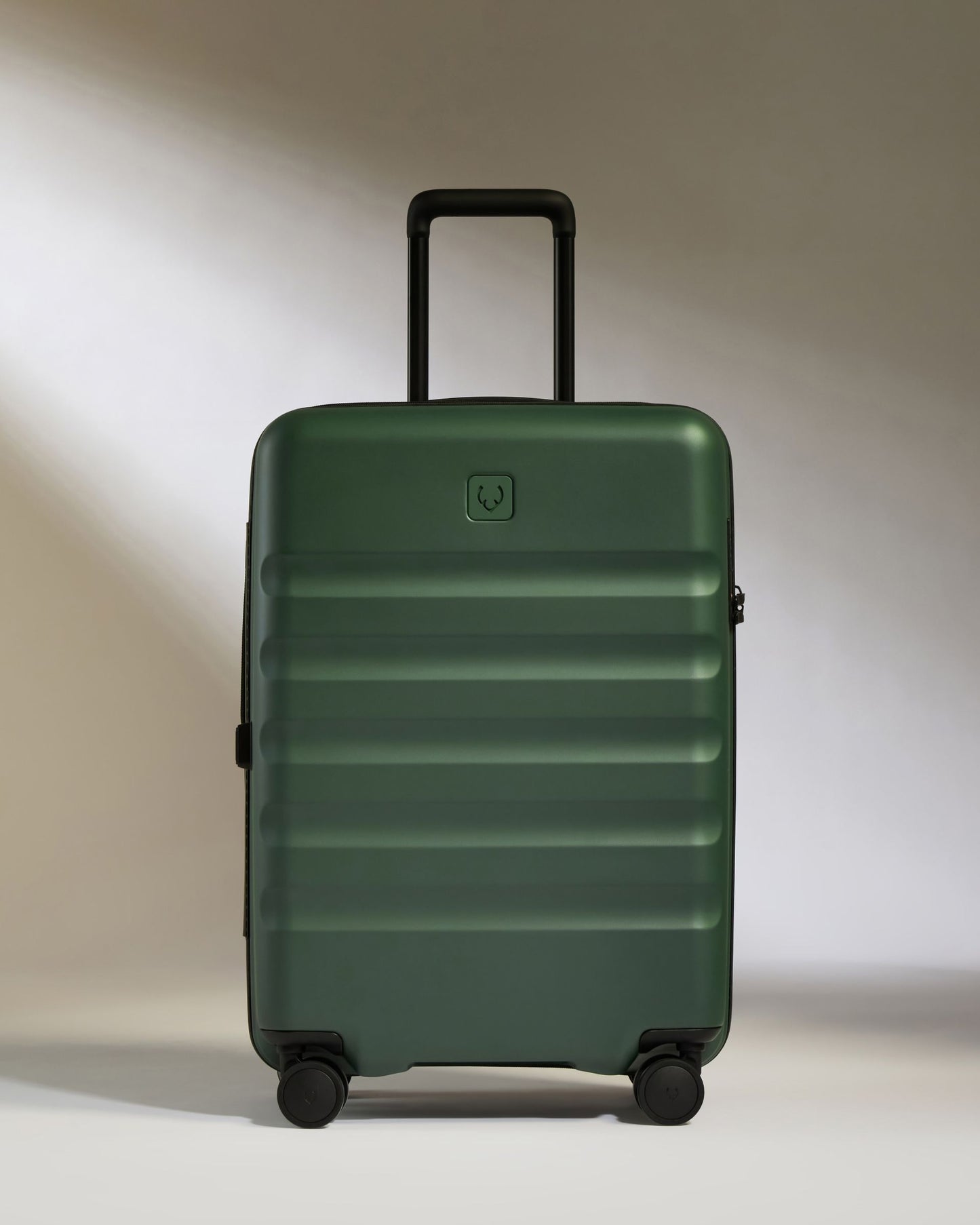 Large Carry-on Luggage Set in Antler Green - Icon Stripe