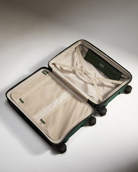 Expandable Carry-on Luggage Set in Antler Green - Icon Stripe