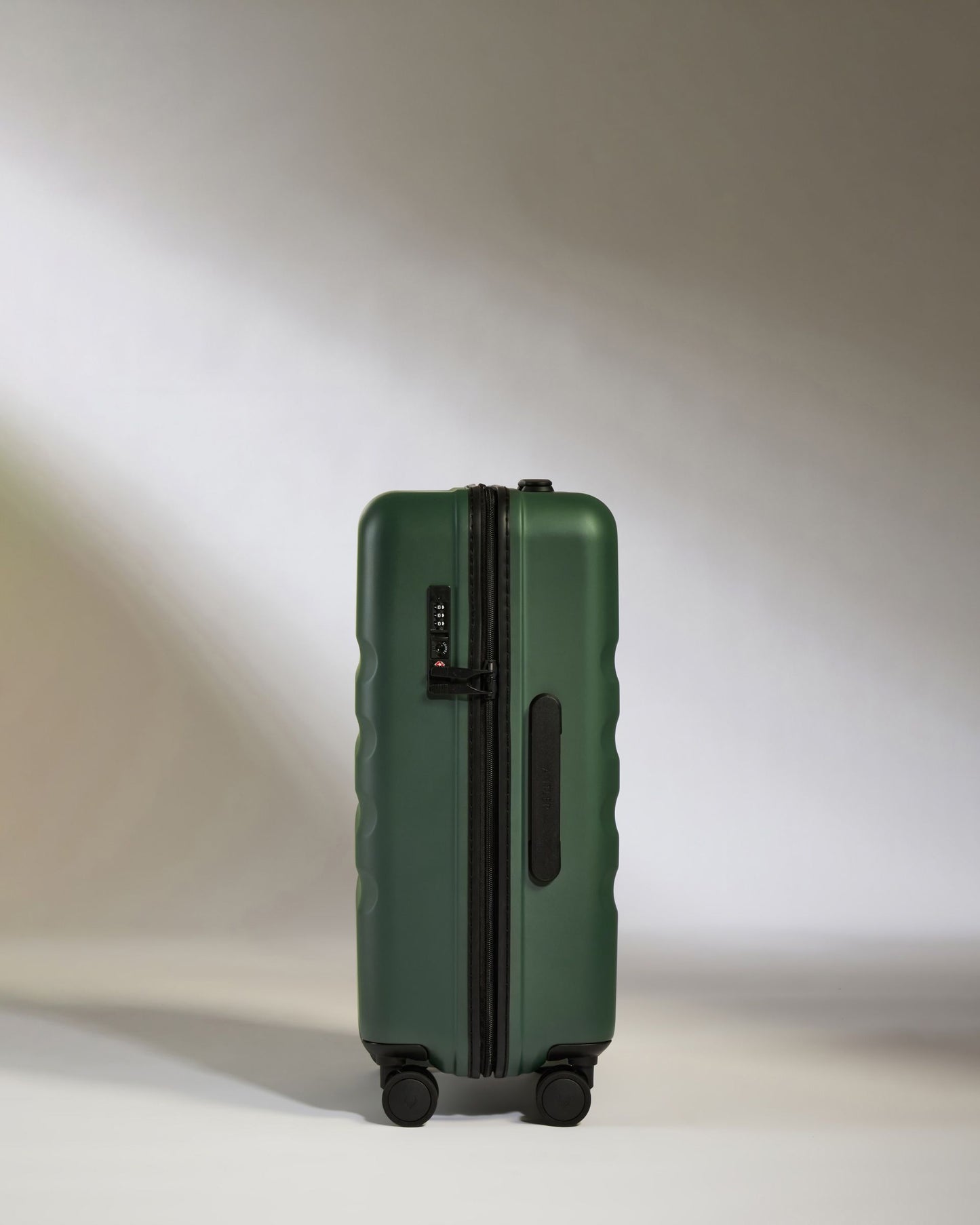 Large Carry-on Luggage in Antler Green - Icon Stripe